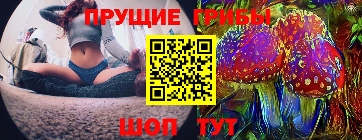 Псилоцибиновые грибы прущие грибы Кирово-Чепецк