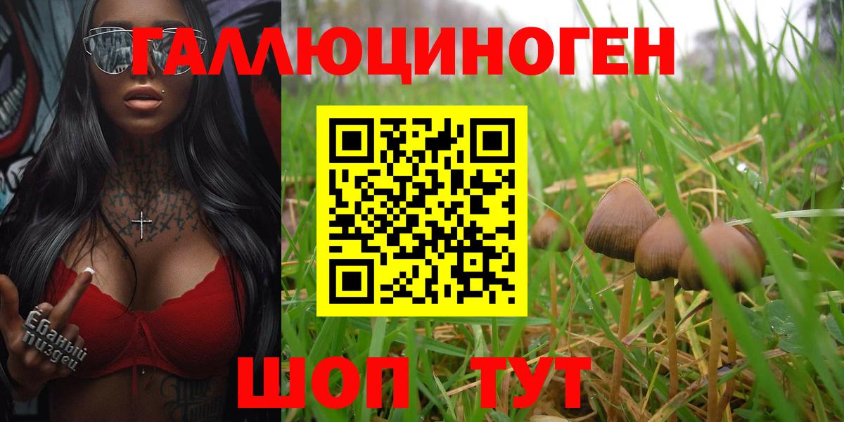 Галлюциногенные грибы Psilocybe  Вход с VPN  Кирово-Чепецк 